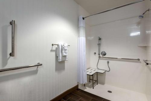 DeBary狄伯瑞-德尔托纳汉普顿酒店的带淋浴和卫生间的浴室