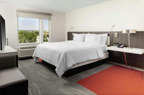 桑顿Hilton Garden Inn Denver/Thornton的一间卧室设有一张大床和一个大窗户