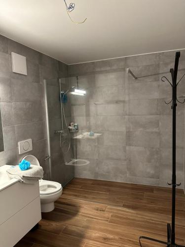 LignièresLuxu’rooms的一间带卫生间和淋浴的浴室