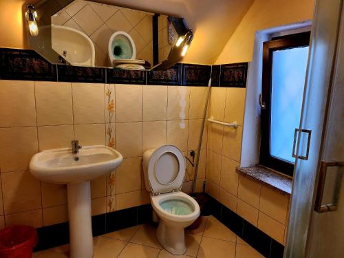 华沙Hostel MOC的一间带卫生间和水槽的浴室