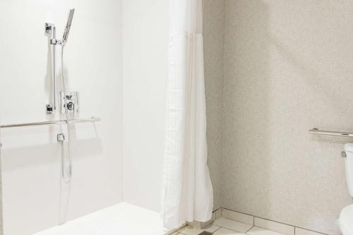 Urbandale厄本代尔司丽普酒店的带淋浴、卫生间和浴帘的浴室