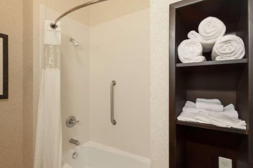 克林顿底特律罗斯维尔汉普顿旅馆的浴室配有浴缸、淋浴和毛巾。