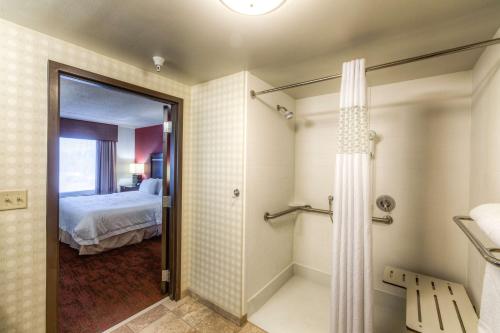 罗缪勒斯底特律/罗穆卢斯机场汉普顿酒店的带淋浴的浴室和卧室