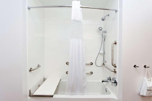 尤福拉佑福拉阿尔汉普顿酒店的带淋浴和浴帘的浴室