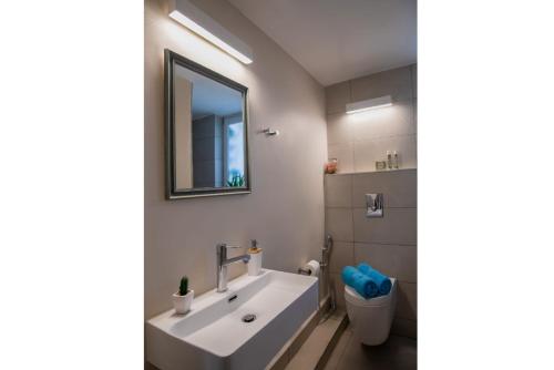 埃皮斯科皮·罗希姆诺Villa Armi的一间带水槽、镜子和卫生间的浴室