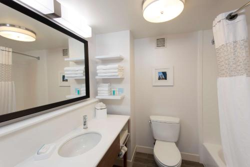 怀俄明大急流城南希尔顿恒庭酒店的一间带水槽、卫生间和镜子的浴室