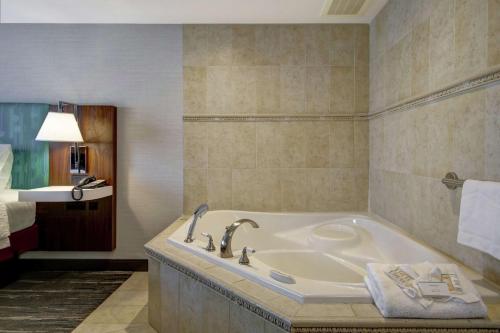 圭尔夫圭尔夫敦汉普顿套房酒店的一间带浴缸的浴室