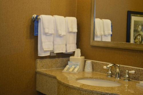 皮尔兰Hilton Garden Inn Houston-Pearland的浴室配有盥洗盆、镜子和毛巾