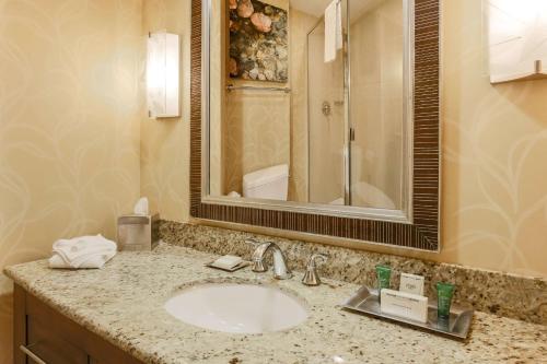 布兰森Hilton Branson Convention Center的一间带水槽和镜子的浴室