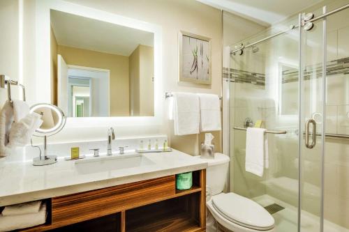 亨廷顿DoubleTree by Hilton Huntington, WV的一间带水槽、淋浴和卫生间的浴室