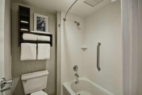 卡梅尔印第安纳波利斯卡梅尔希尔顿惠庭套房酒店的带浴缸、卫生间和盥洗盆的浴室