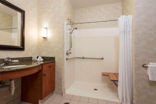 普兰菲尔德印第安纳波利斯机场/普莱恩希尔顿惠庭套房酒店的带淋浴、盥洗盆和卫生间的浴室
