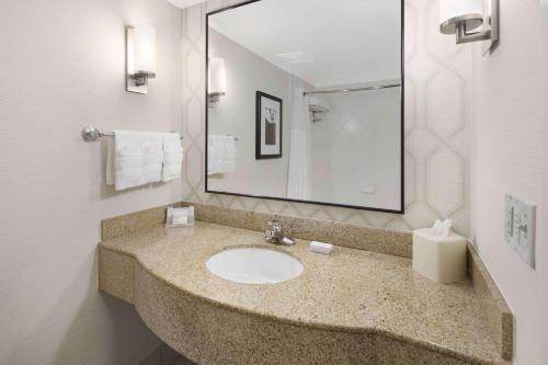 麦迪逊杰克逊-麦迪逊希尔顿花园酒店的一间带水槽和大镜子的浴室