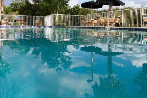 杰克逊维尔杰克逊维尔机场希尔顿花园酒店的一个带椅子和遮阳伞的游泳池