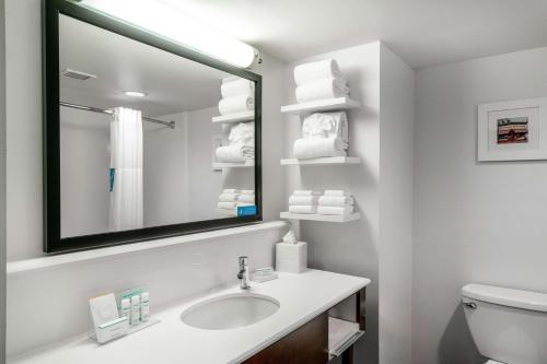 拉法叶拉斐特汉普顿酒店的白色的浴室设有水槽和镜子