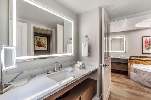 拉斯维加斯Hilton Grand Vacations Club Flamingo Las Vegas的一间带水槽和大镜子的浴室