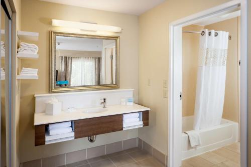 拉斯维加斯拉斯维加斯红岩/萨默林汉普顿假日及套房酒店的一间带水槽和镜子的浴室