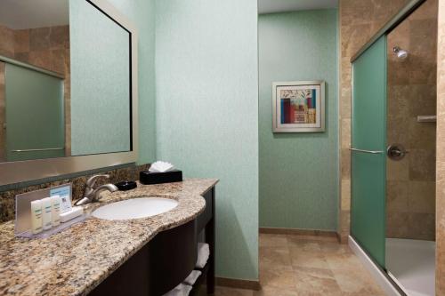 洛杉矶洛杉矶国际机场/霍索恩汉普顿酒店的一间带水槽和淋浴的浴室