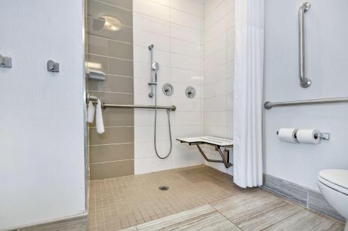 兰伯顿北卡罗来纳州兰伯顿汉普顿酒店的带淋浴和卫生间的浴室