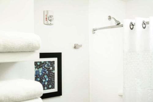拉克罗斯拉克罗斯市中心汉普顿套房酒店的带淋浴的浴室和墙上的照片
