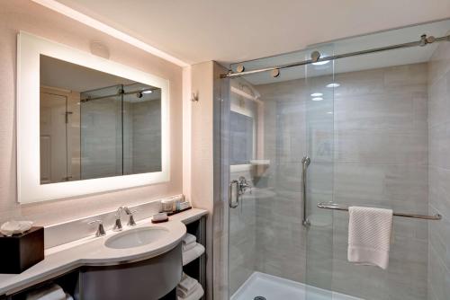 奥兰多Embassy Suites by Hilton Orlando Downtown的一间带水槽和淋浴的浴室
