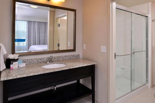 奥兰多奥兰多/市中心南医疗中心汉普顿套房酒店 的浴室配有盥洗盆和带镜子的淋浴