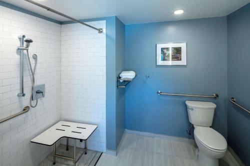州学院Scholar State College, Tapestry Collection by Hilton的一间带卫生间和蓝色墙壁的浴室