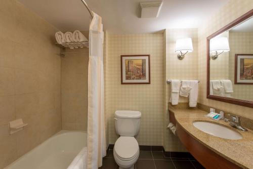 曼切斯特曼切斯特市中心希尔顿花园酒店的浴室配有卫生间、浴缸和水槽。