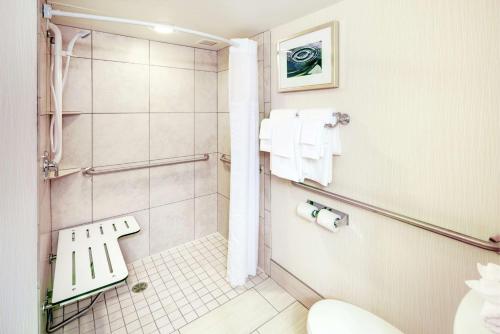 密尔沃基密尔沃基市中心希尔顿逸林酒店的带淋浴和卫生间的浴室