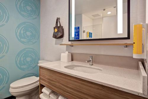 马纳萨斯Tru By Hilton Manassas, Va的一间带水槽、卫生间和镜子的浴室
