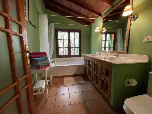 阿格特La Casa del Molino de Viento的绿色浴室设有浴缸和水槽