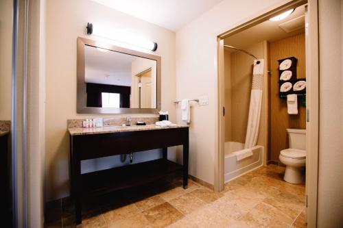 迈诺特迈诺特汉普顿酒店及套房的一间带水槽、卫生间和镜子的浴室