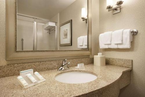 明尼阿波利斯明尼阿波利斯市区希尔顿花园旅馆的一间带水槽和镜子的浴室