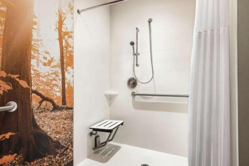 布卢明顿美国希尔顿花园酒店明尼阿波利斯机场购物中心的带淋浴和浴帘的浴室