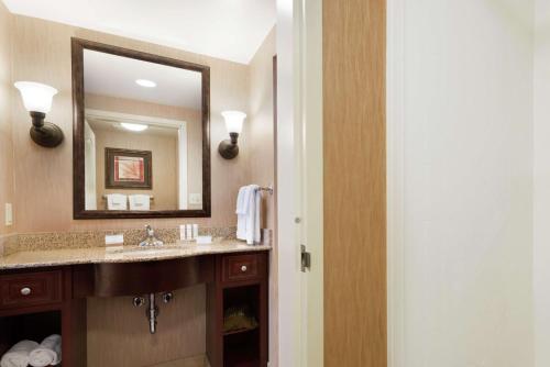 罗斯维尔新布赖顿希尔顿惠庭套房酒店的一间带水槽和镜子的浴室