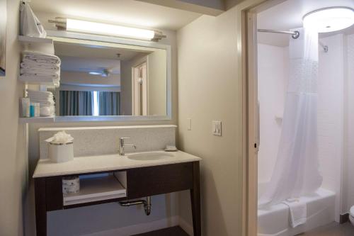 哈拉汉新奥尔良/埃尔姆伍德汉普顿酒店及套房的一间带水槽、镜子和淋浴的浴室