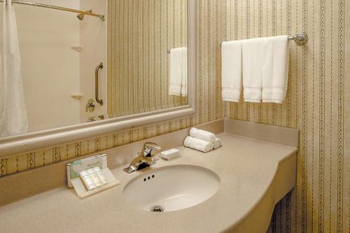 切斯特菲尔德圣路易斯/切斯特菲尔德希尔顿花园酒店的浴室配有盥洗盆、镜子和毛巾