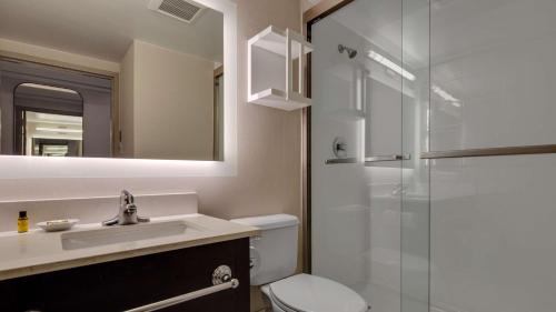 New ProvidenceThe Hub Murray Hill, BW Premier Collection的浴室配有卫生间、盥洗盆和淋浴。