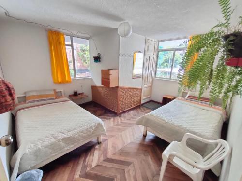 巴尼奥斯Hostel Plantas y Blanco的客房设有两张床、椅子和窗户。