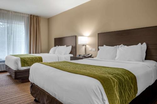 ConnellsvilleComfort Inn的酒店客房设有两张床和窗户。