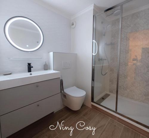 维勒班Superbe Cosy Duplex Appartement T3 Charpenne Tête D'or avec parking privé gratuit的浴室配有卫生间、盥洗盆和淋浴。