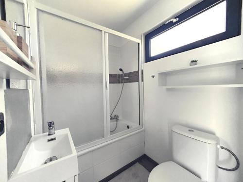 瓦尔季采Lavečka u Valtic的浴室配有卫生间、淋浴和盥洗盆。