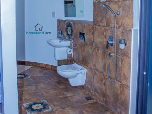 达累斯萨拉姆homeland bro的浴室配有卫生间、盥洗盆和淋浴。