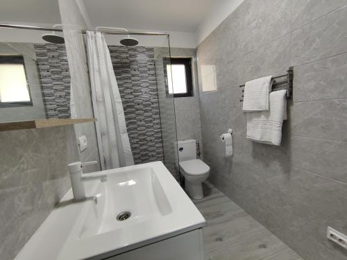 伯伊莱戈沃拉Kub Baile Govora的浴室配有白色水槽和卫生间。