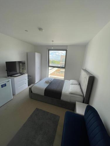伦敦The Perfect inn的一间卧室配有一张床、一台电视和一张沙发