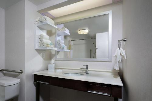 马丁斯维尔马丁斯维尔汉普顿酒店的一间带水槽和镜子的浴室