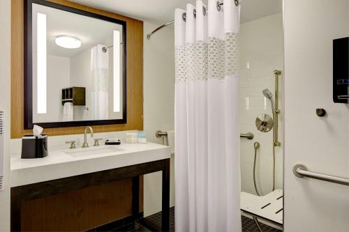 布鲁克林布鲁克林城区汉普顿酒店的一间带水槽和淋浴的浴室