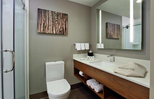 纽约纽约/中城公园大道希尔顿花园酒店的一间带卫生间、水槽和镜子的浴室