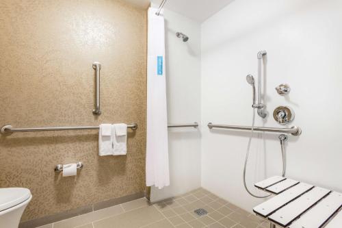 纽约曼哈顿中央火车站汉普顿酒店的一间带卫生间和淋浴的浴室