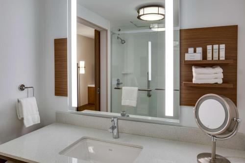 俄克拉何马城俄克拉何马城机场希尔顿花园酒店 的一间带水槽和大镜子的浴室
